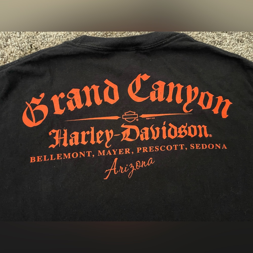 Men’s Harley Davidson 2011 Grand Canyon Halloween Jack O’Lantern T-Shirt Size L - Picture 6 of 6